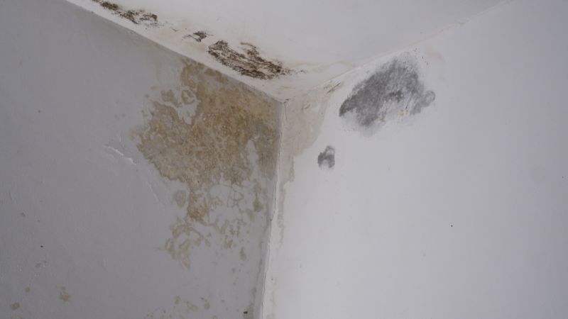 Interior Wall Waterproofing